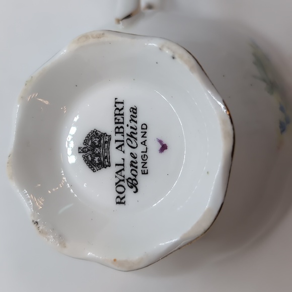 Royal Albert Tea Cup and Saucer - Picture 7 of 8